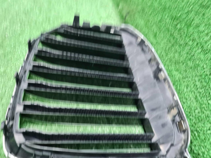 Решетка радиатора BMW X7 G07 (2019-2022)