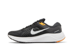 Кроссовки Nike Zoom Structure 24