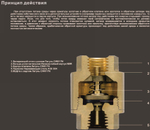 Клапан обратный лепестковый 3/4 TIM (JH-1011С) 2 шт