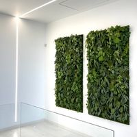 Фитостены из искусственных растений