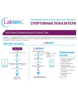 20кг Laktein 80