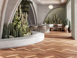 MOROCCO: АРГАНИЯ