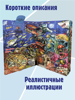 Энциклопедия с окошками (ЦК) ЧТО ТАМ, ПОД ВОДОЙ?