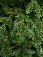 Искусственная ель «Монтерей» (Литая хвоя) 210 см / 2.1 м