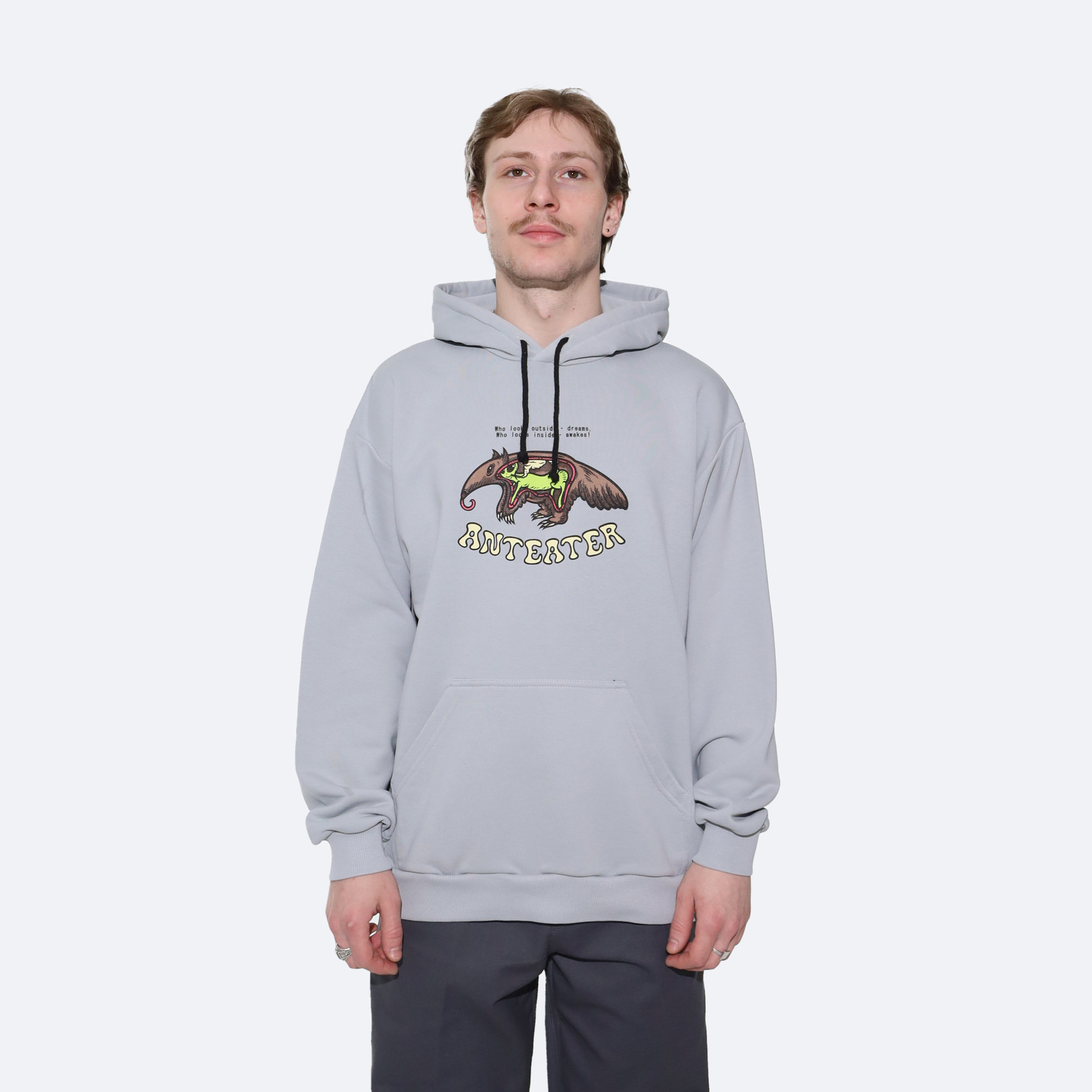 Худи Anteater Hoodie (light grey) артикул:pFYd79lmgmd5DqUeHhsij0 - купить в магазине Дайс