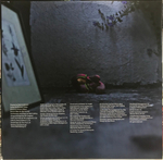 Suede / Night Thoughts (2LP)