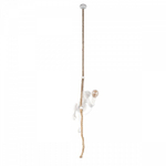 Подвесной светильник Loft it Monkey 10314P