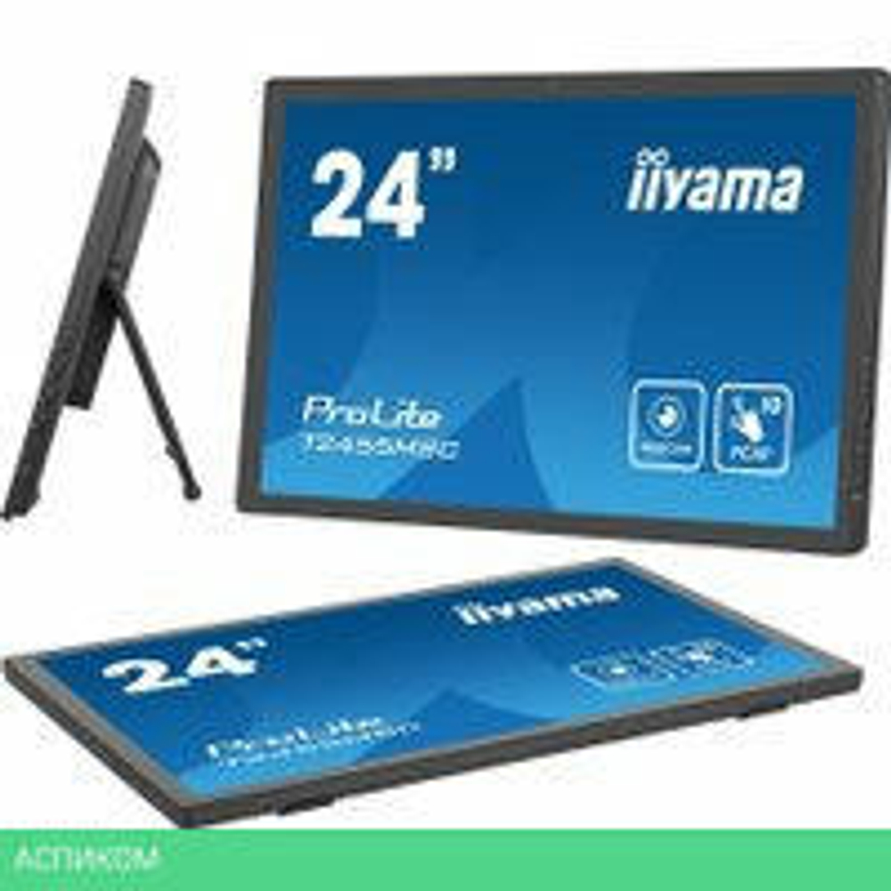 Портативный монитор Iiyama ProLite T2455MSC-B1