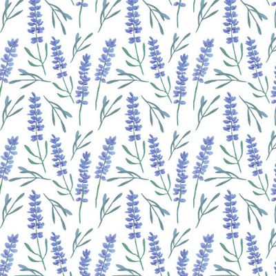 Нежная лаванда на белом фоне