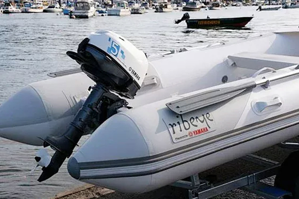 4х-тактный лодочный мотор YAMAHA F5AMHS