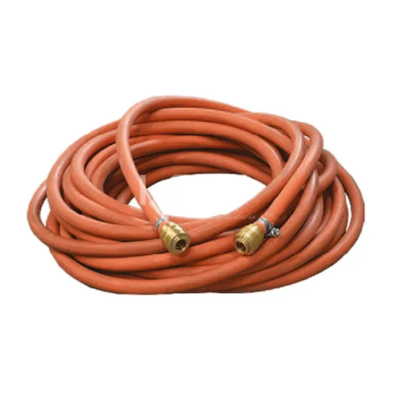 Воздушный шланг 10 м Promotech