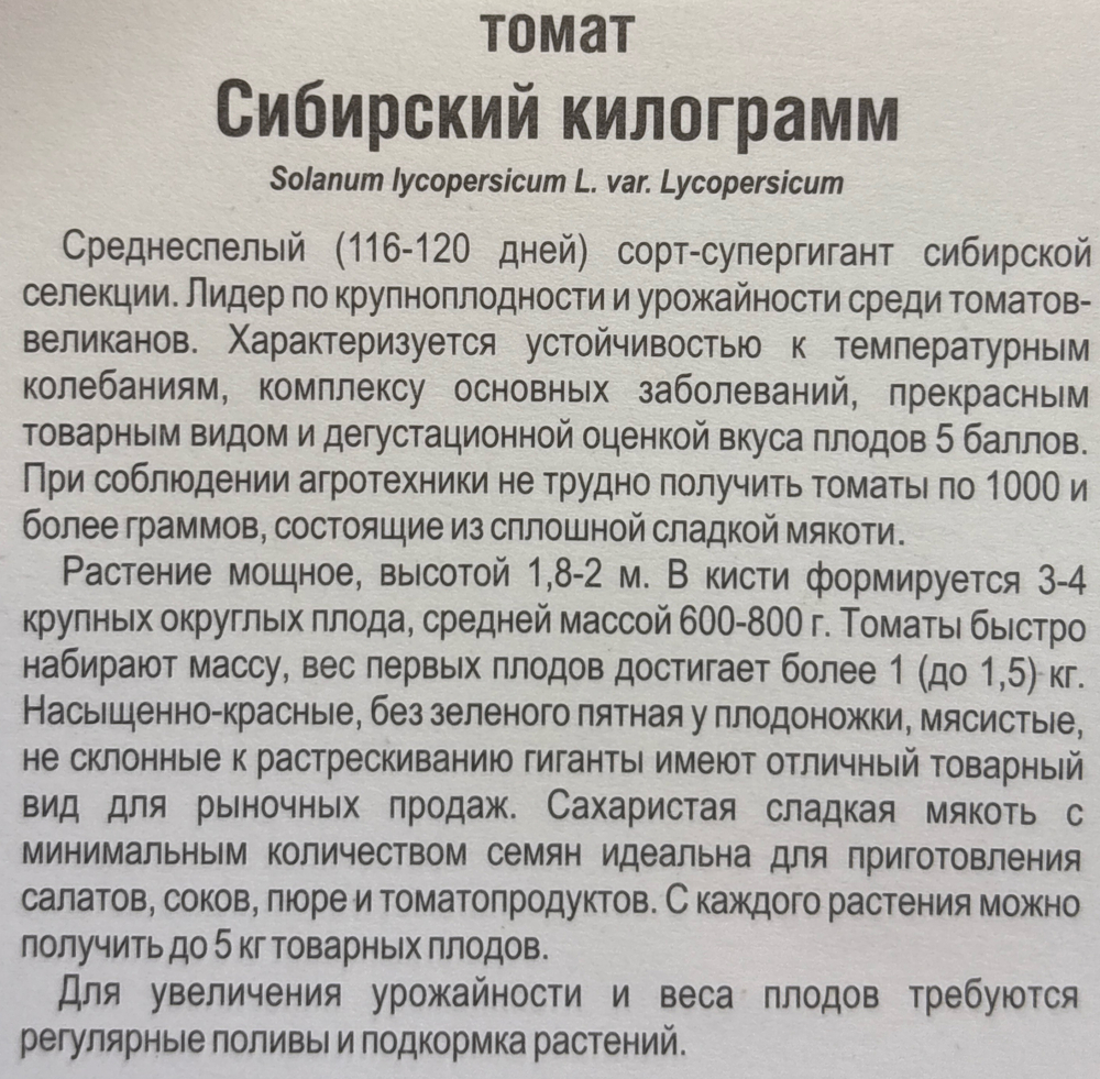 Томат Сибирский килограмм 20 шт СМТ-63