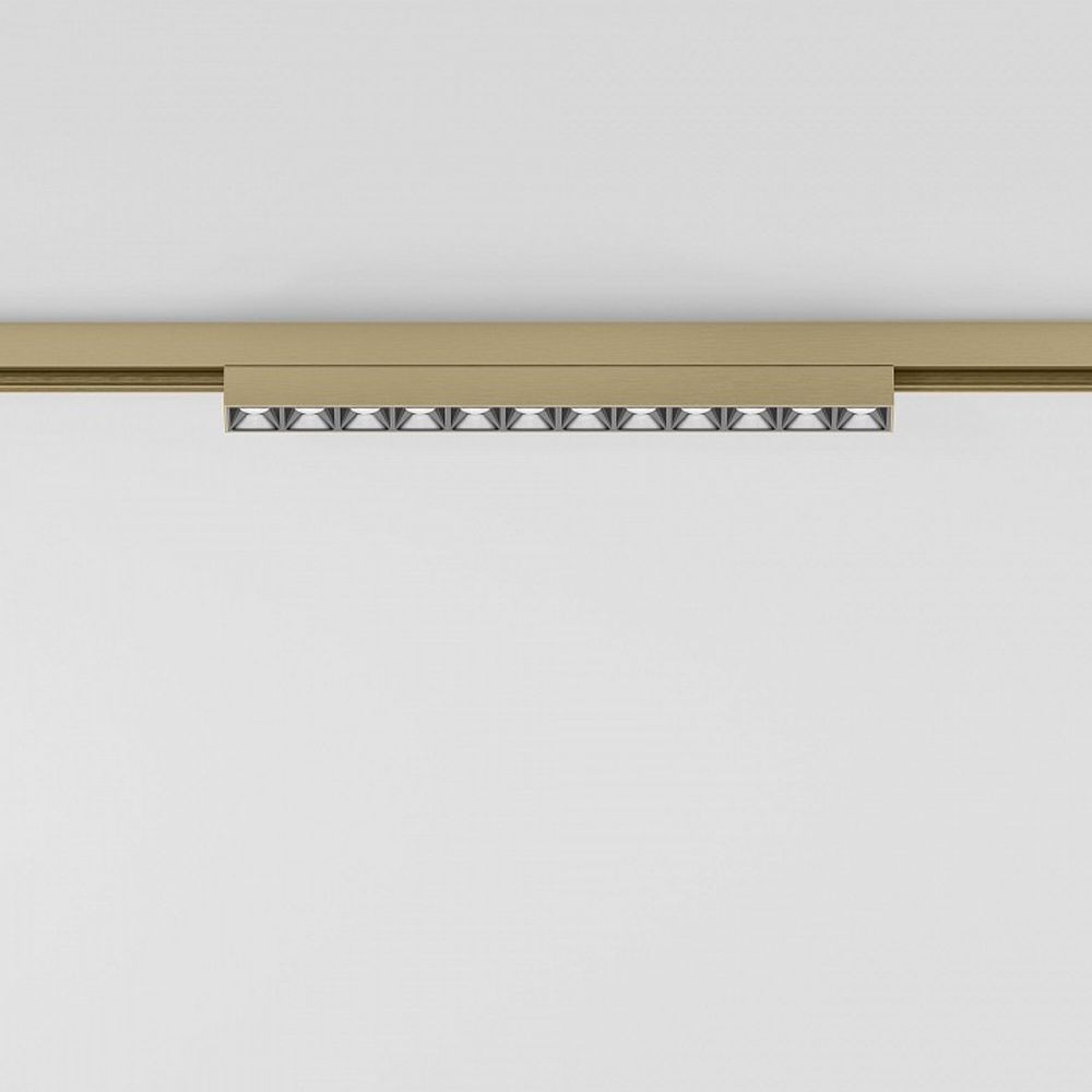 Накладной светильник Elektrostandard  85528/01