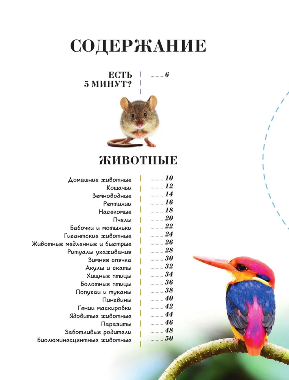 100 тысяч почему на каждый день. Природа