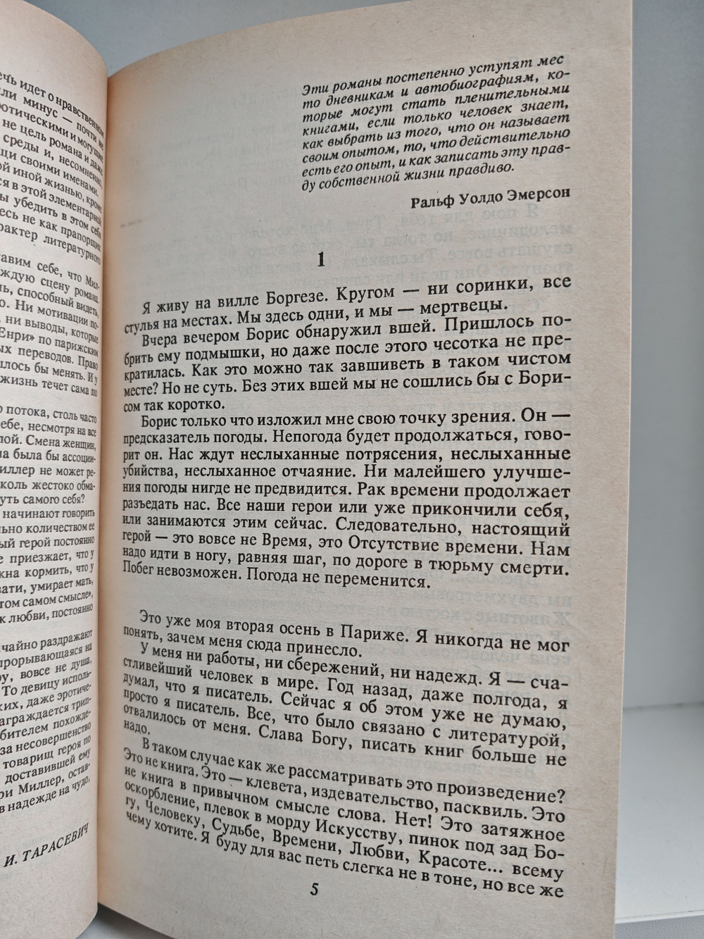 Тропик рака