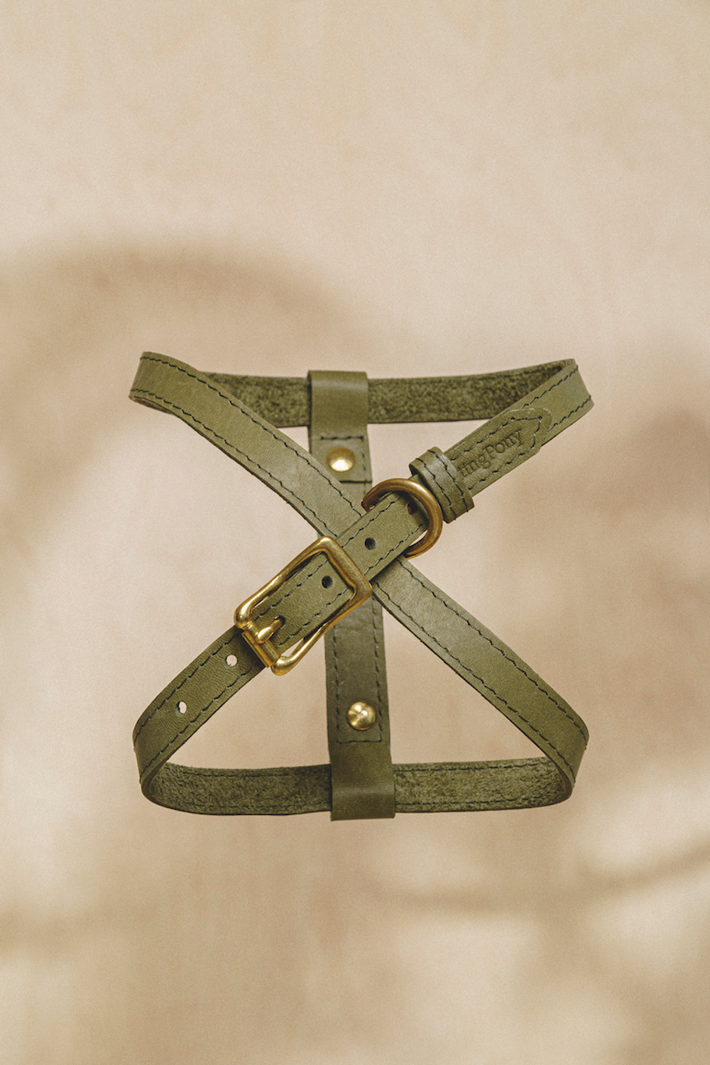 Цельнокожаная шлейка Зеленая