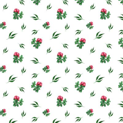 Брусника с листочками