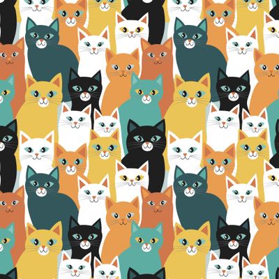 Котики