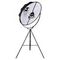 Торшер Loft IT Studio 10301/L