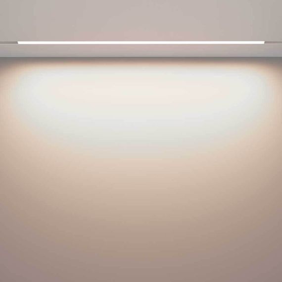 Трековый светодиодный светильник Maytoni Technical Exility Basis TR030-2-30W4K-W