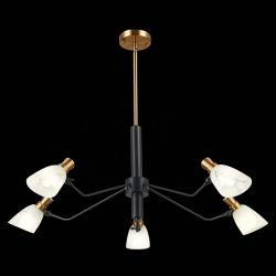 Светильник подвесной Evoluce Lita SLE205403-05