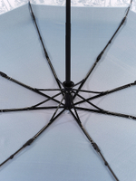 Зонт Fabretti UFS40-3