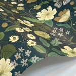 Rifle Paper Co. Second Edition