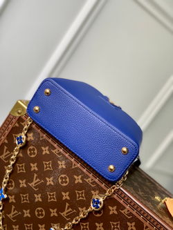 Louis Vuitton Capucines Mini