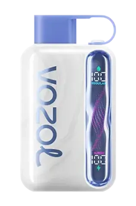 Vozol STAR 40000 - Blueberry Mint (5% nic)