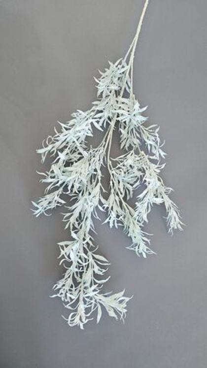 Ветка рускуса / Арт 5132