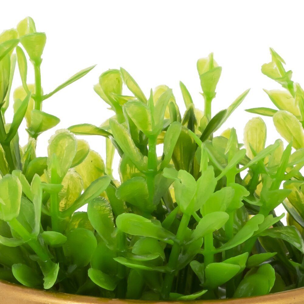 GAEM Цветочная композиция, L7 W7 H15 см