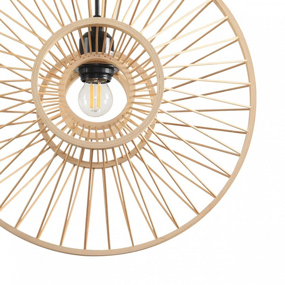 Подвесной светильник Lumion ECO 8383/1