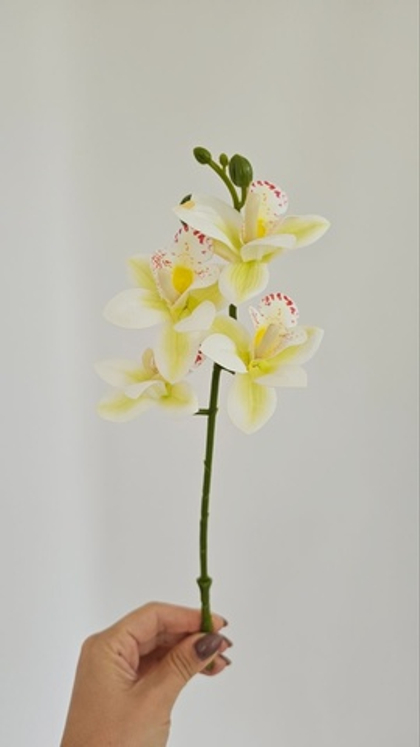 Орхидея мини / Арт 2325