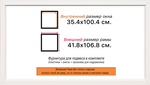 Рама 35x100 для картин и фотографий RP0620858-06