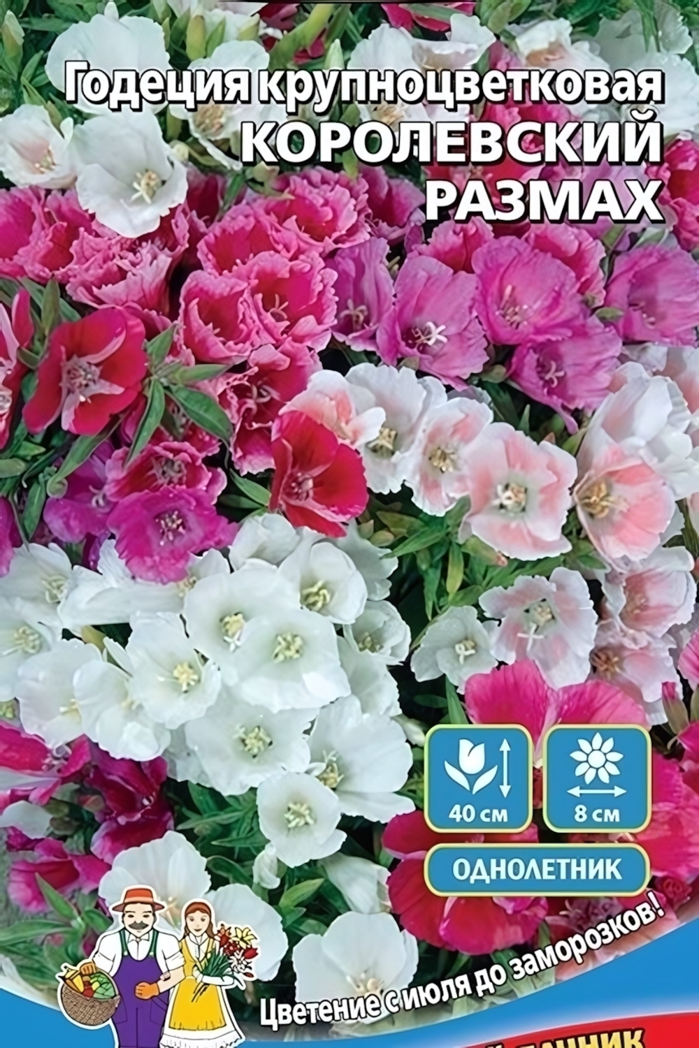 Семена Годеция Королевский размах - крупноцветковая (УД) Е/П