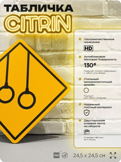 Табличка декоративная "Кольца гимнастические" на дверь и стену, спортивная, информационная, декоративный знак, 24,5х24,5 см, пластиковая, Айдентика Технолоджи
