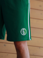 Шорты спортивные с лампасами город горький ЧБЗ зеленые