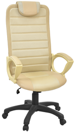 Кресло Элегант L 5 сетка п.Директор