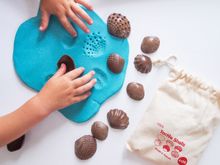 Ракушки морские (тактильные) Эко (36 шт.)