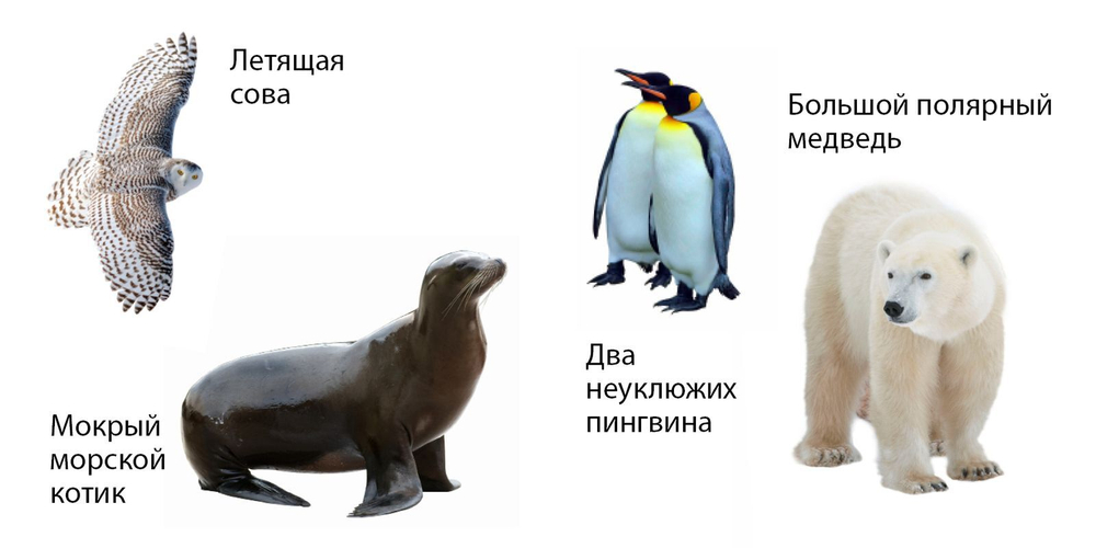 Зоопарк