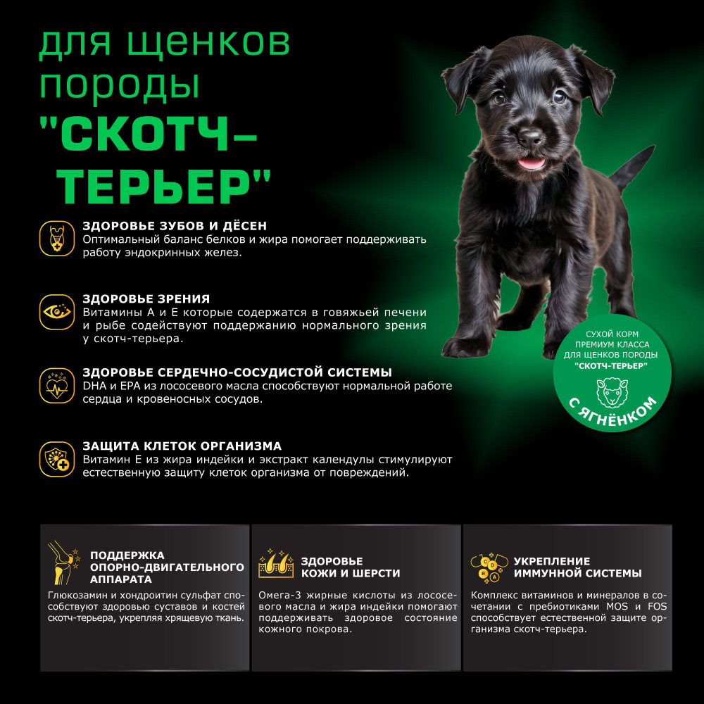 Корм сухой для щенков породы Скотч-терьер, премиум полнорационный комплекс, с ягненком, 800 гр, QUATTRO