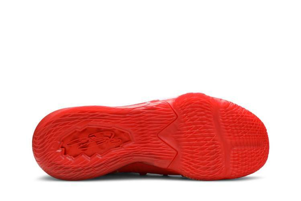 Кроссовки Titan X Nike Lebron 17