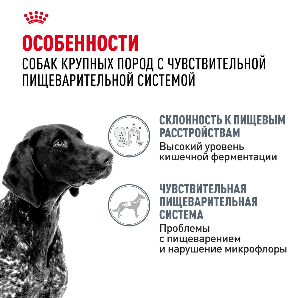 Royal Canin Maxi Digestive Care Корм сухой для взрослых собак больших размеров с чувствительным пищеварением 3 кг