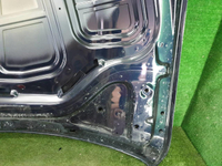 Капот BMW X5 G05 X6 G06 (2018-н.в.)
