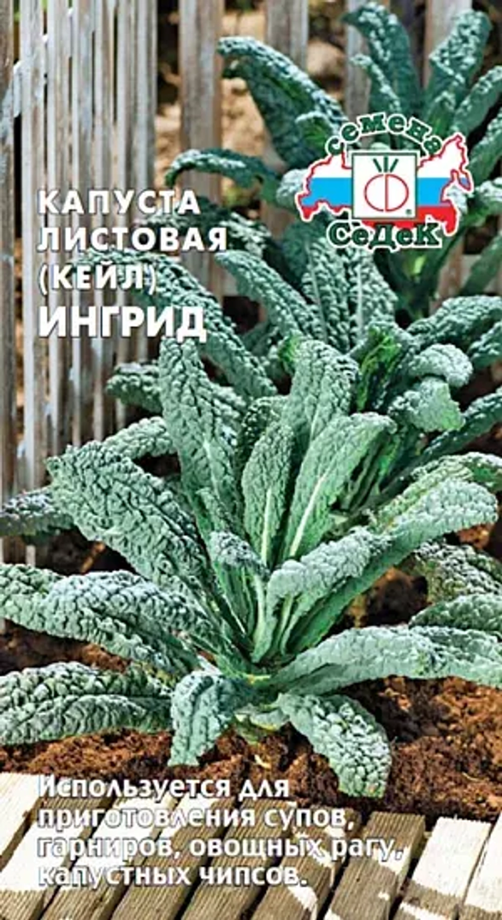Капуста листовая_Кале (съедобная)_