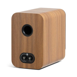 Полочная акустика Q-Acoustics Q 3020c (QA3328) Pin Oak