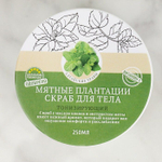 Тонизирующий соляной скраб для тела «Мята» с алтайскими травами - 250 мл. (Цвет: не задано)