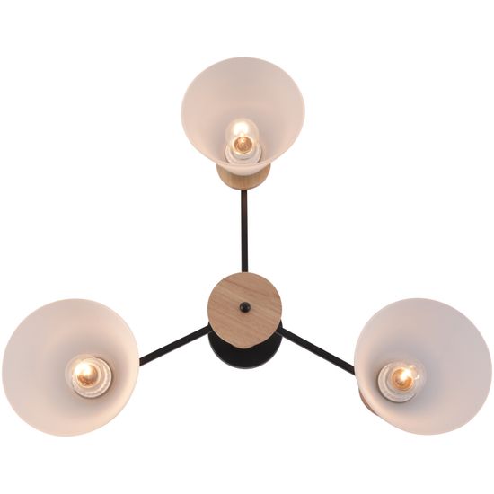 01625-0.3-03 BK+WOOD светильник потолочный