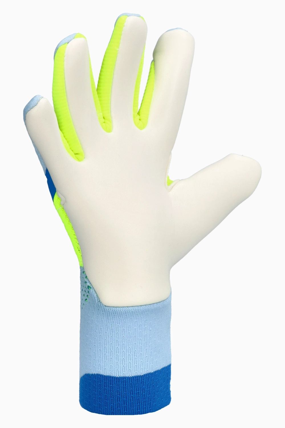 Вратарские перчатки adidas Predator Pro - голубой