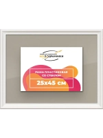 Рамка для постера и фотографий 25x45